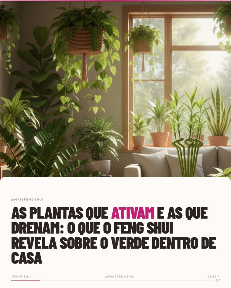 Carrossel Anali Feng Shui — plantas que ativam